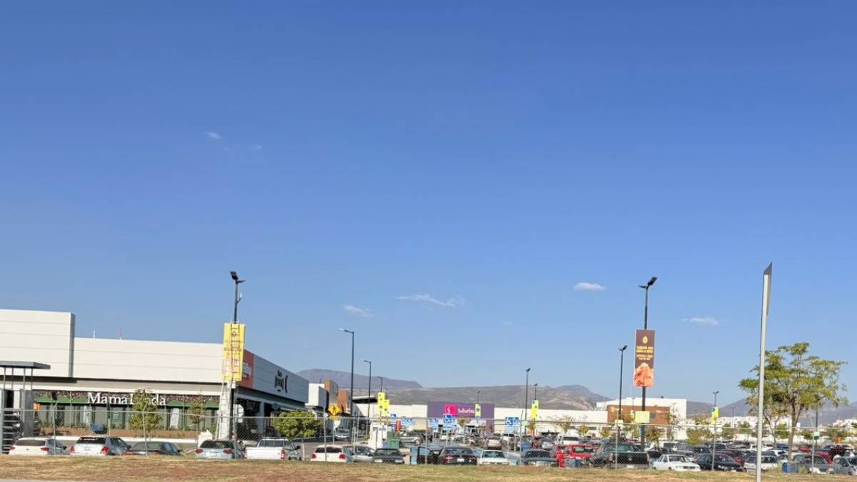 ladron-baleado-león