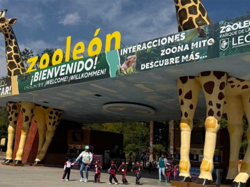 cuidado animales del Zoológico de León