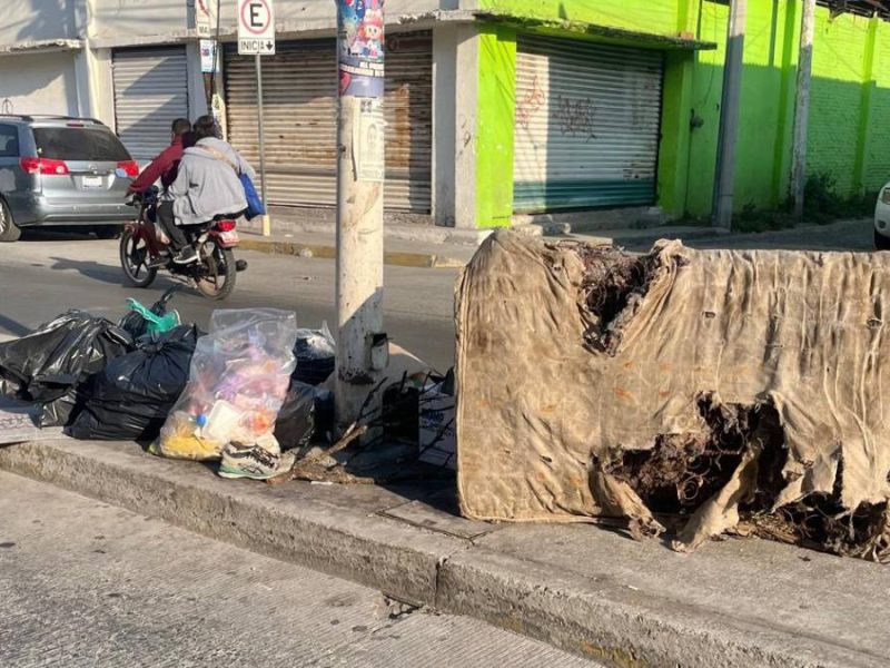 mercado-tomasa-esteves