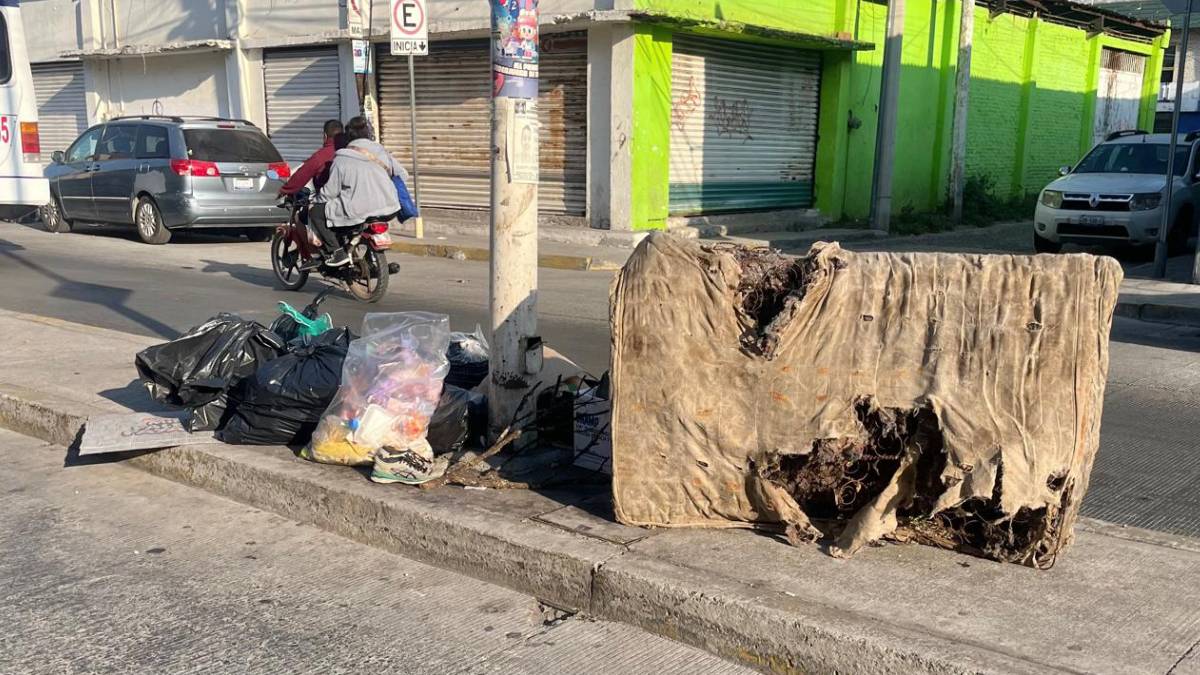 mercado-tomasa-esteves