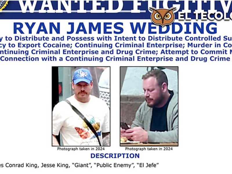 62 motos de lujo y oro olímpico: Excéntrico botín asegurado por FGR en refugios de Ryan James