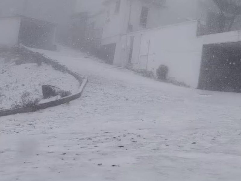 Reportan nevada en Veracruz: Cofre de Perote se pinta de blanco