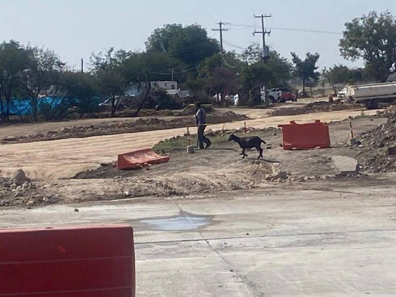 obras-bulevar-cañaveral