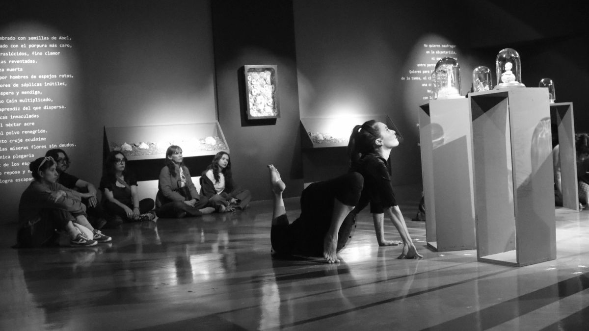 performance sobre la exposición de Flor Bosco