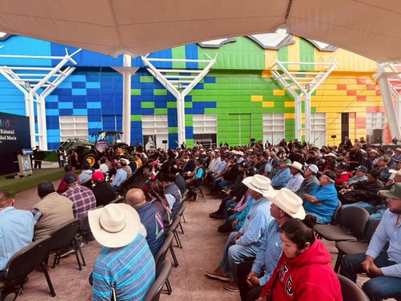 productores-de-maiz-de-guanajuato