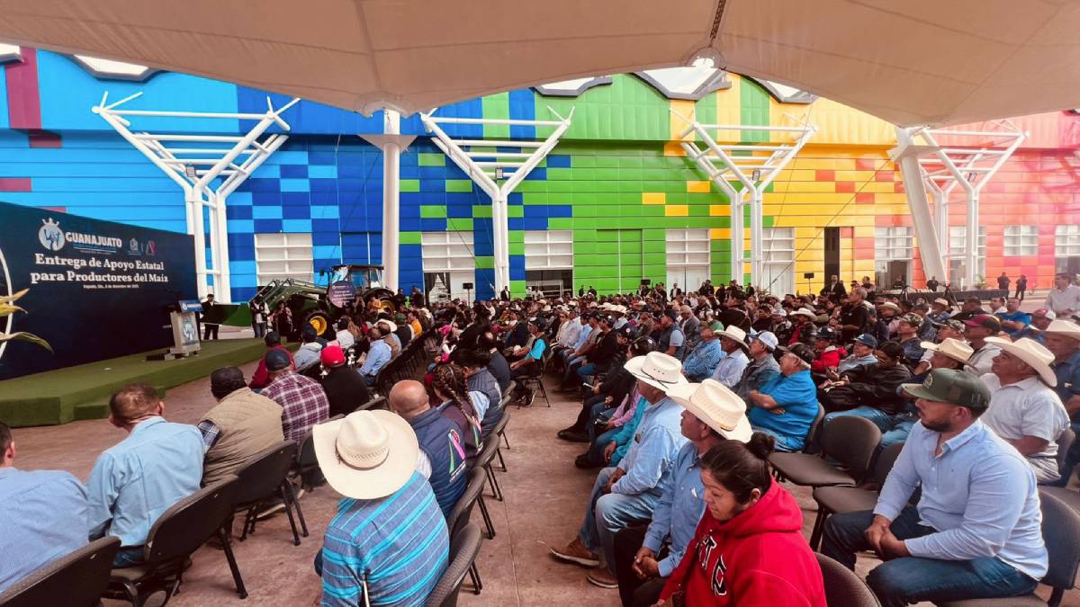 productores-de-maiz-de-guanajuato