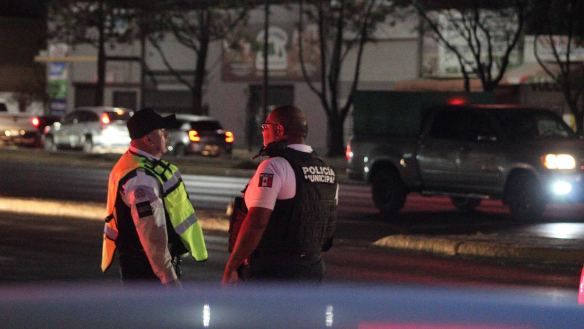 saldo-blanco-nochebuena-navidad-leon