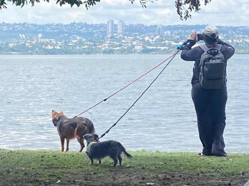 Termina Guanajuato el 2025 sin sequía tras una gran temporada de lluvia