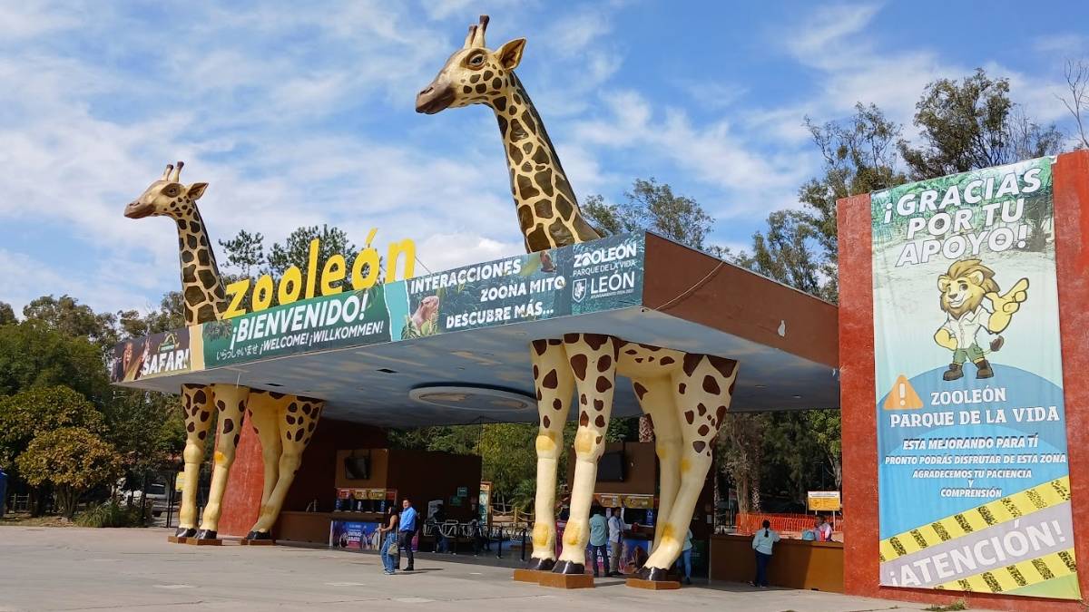 zoológico-de-león