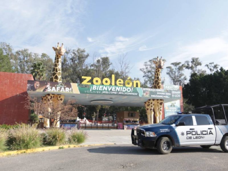 Zoológico de León ignoró fallas desde 2022; infraestructura ponía en riesgo a visitantes y animales