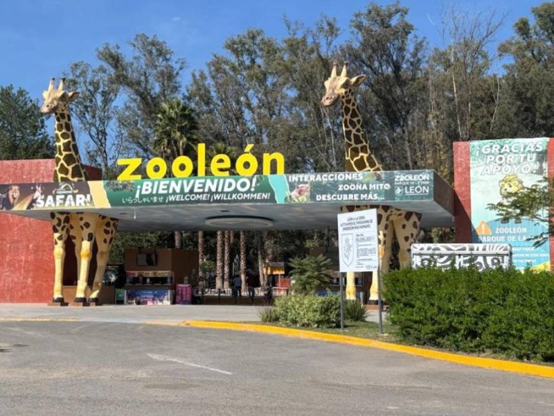 zoológico-de-león
