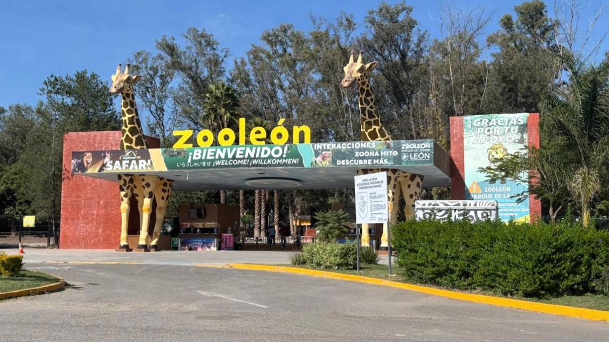 zoológico-de-león