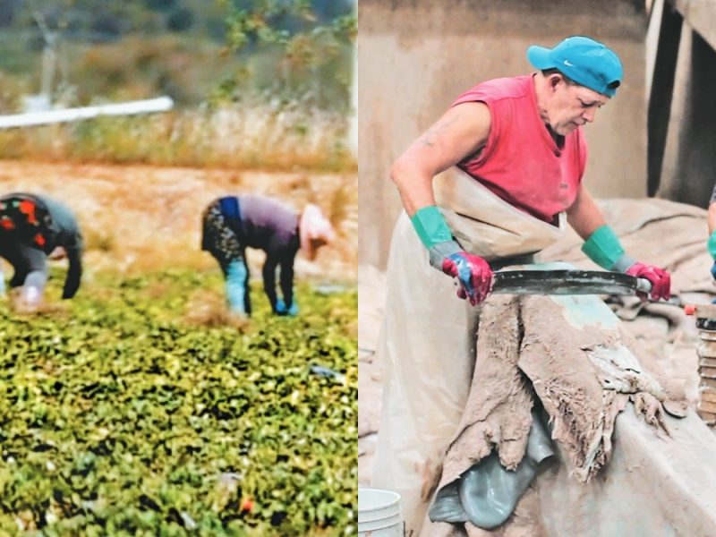 ¿Por qué a los de León nos dicen ‘panzasverdes’ o ‘lechugueros’?