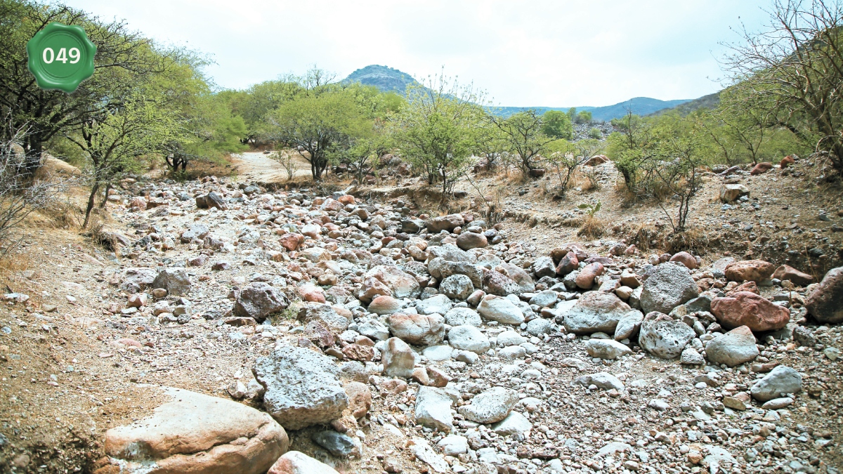 Zonas arqueológicas en León
