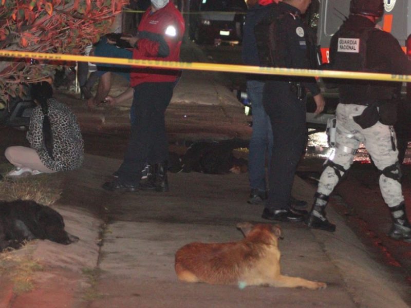 Asesinan a recolector de basura en Parques la Noria; sus perros se quedan junto al cuerpo