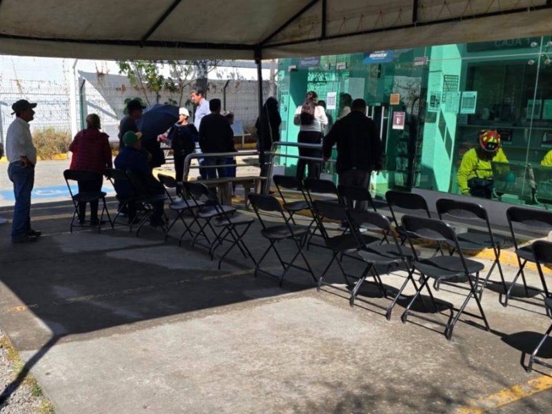 Ataque de abejas en Guanajuato capital provoca evacuación de 120 personas; siete resultan con picaduras