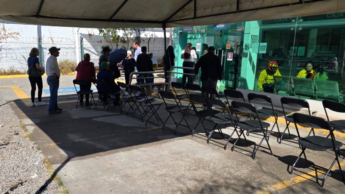 Ataque de abejas en Guanajuato capital