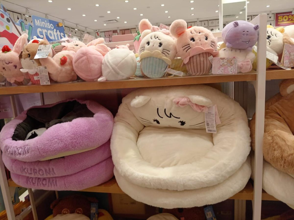 Se enfría la moda y empiezan a cerrar tiendas chinas en Pachuca