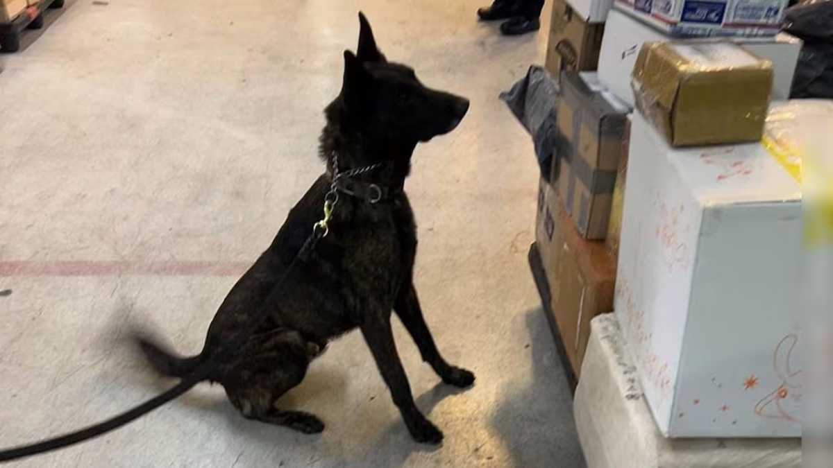 Clorhidrato de fentanilo