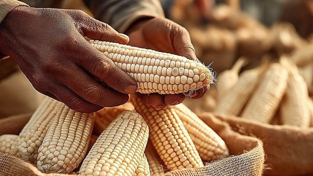 Importaciones de granos