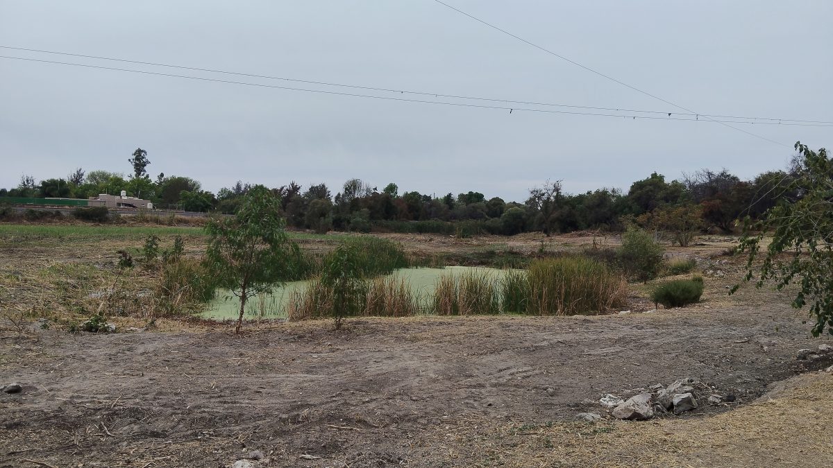 Ejidatarios de San Francisco