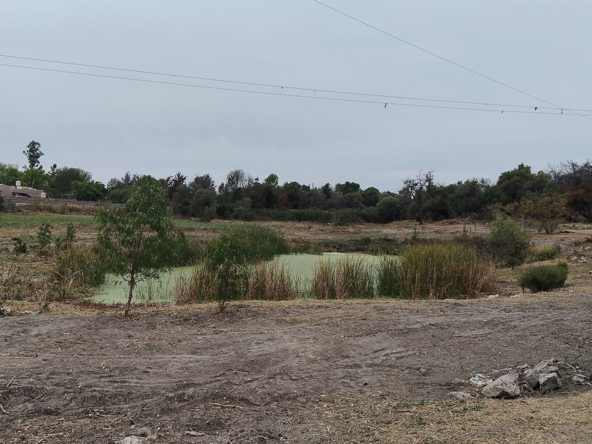 Ejidatarios de San Francisco respaldan decreto de área natural protegida para el Ojo de Agua