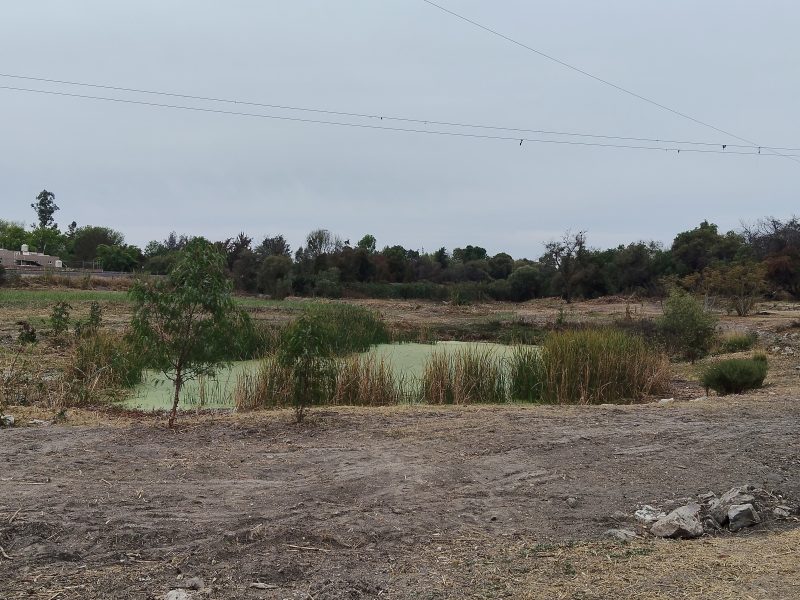 Ejidatarios de San Francisco