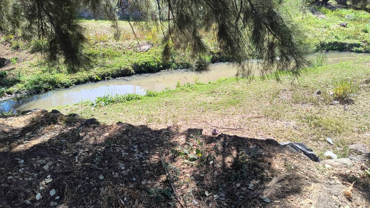 Foco de infección Moroleón arroyo