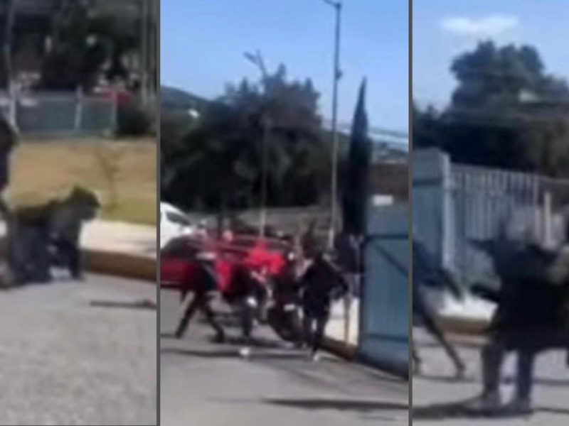 Reportan riña en ICSa de UAEH