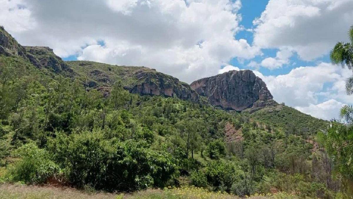 La Bufa y Los Picachos Área Natural Protegida