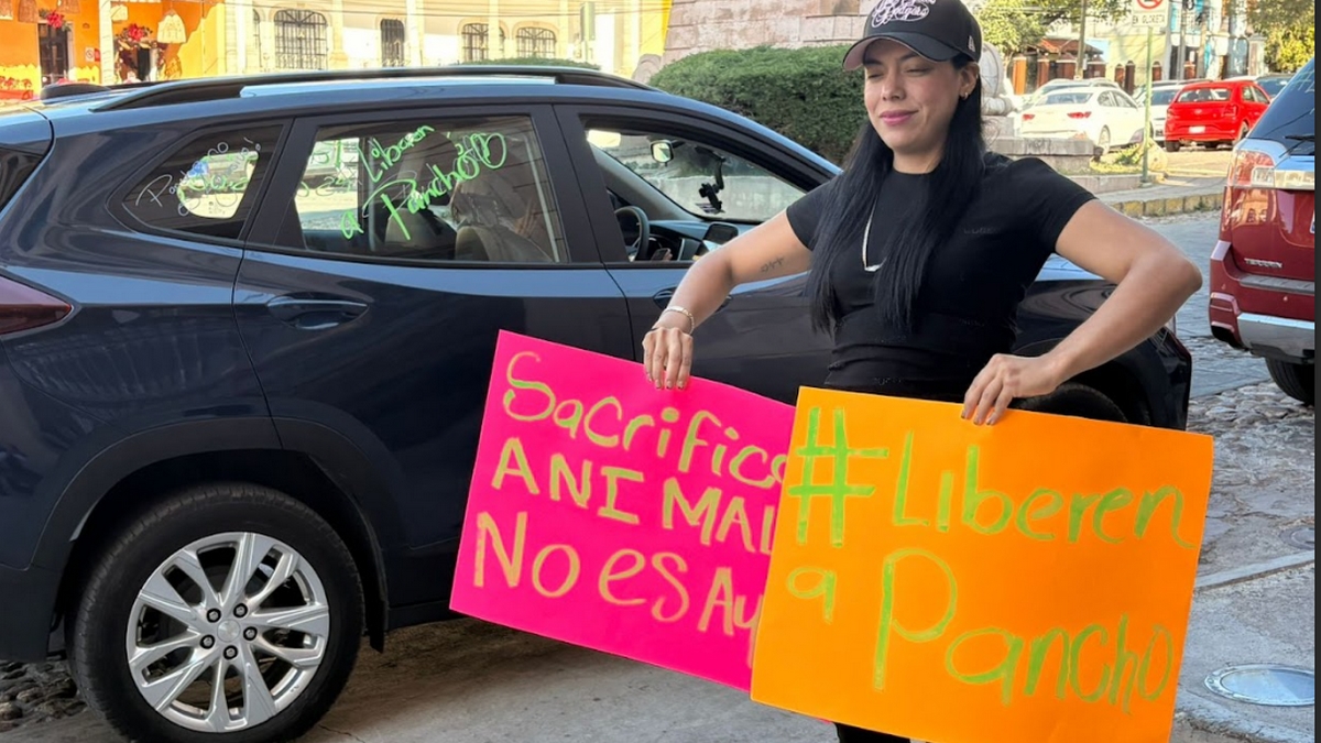 perro Pancho Guanajuato