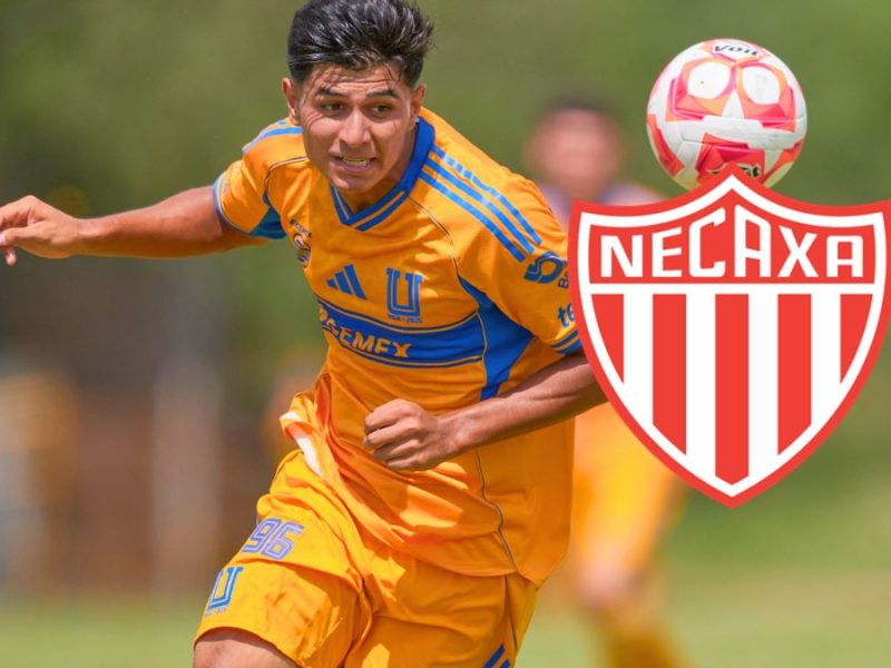 Luis Ibarra, joven extremo de Tigres, llega a Necaxa a préstamo