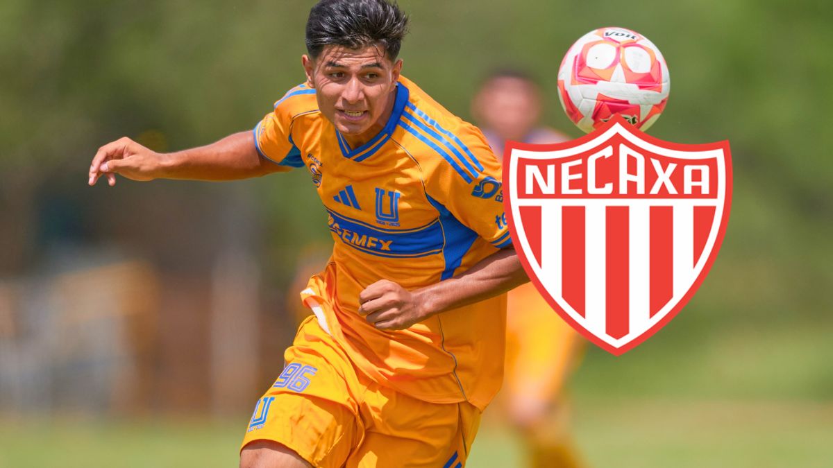 Luis Ibarra jugará con los Rayos en el Clausura 2026. MexSport.