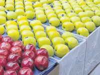 Economía inicia investigación antidumping por importación de manzana estadounidense