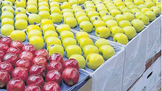 Economía inicia investigación antidumping por importación de manzana estadounidense