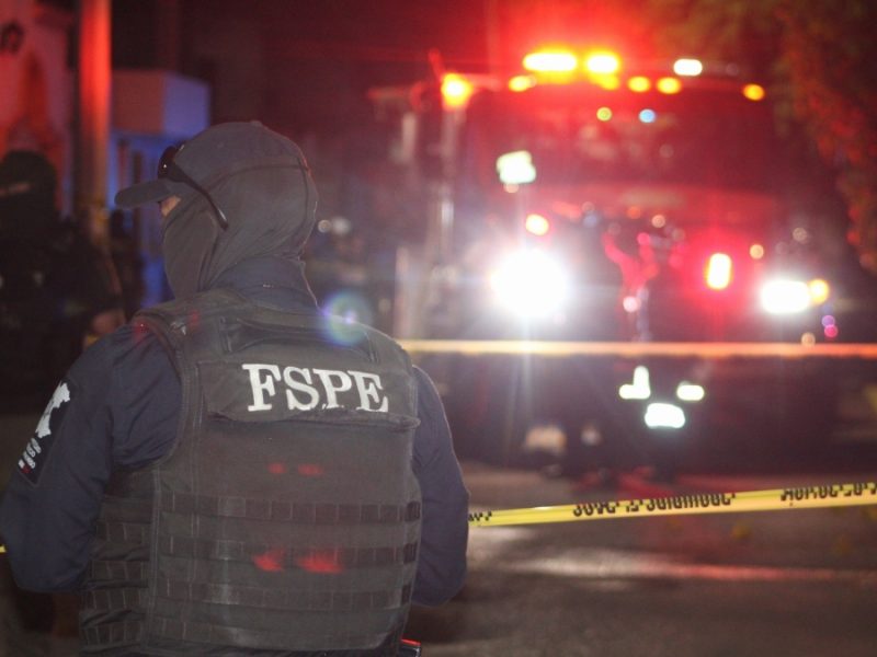 Trágico accidente: Niña muere al caerle encima una palmera en Purísima de Ramírez, Pénjamo