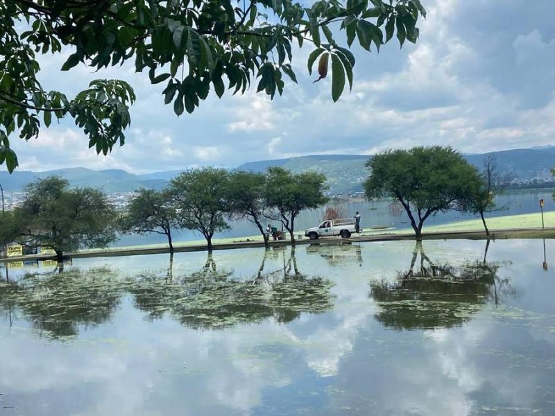 Ceden niveles de sequía en México; Guanajuato inicia 2026 sin afectaciones