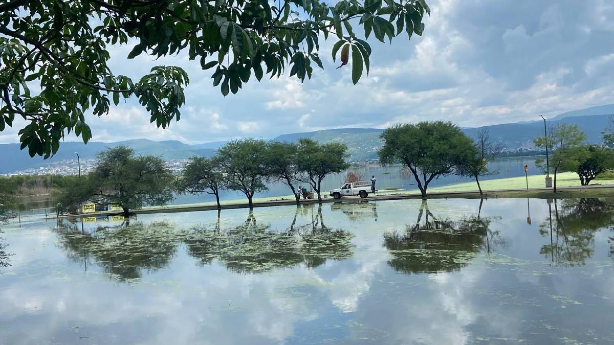 Niveles de sequía en México