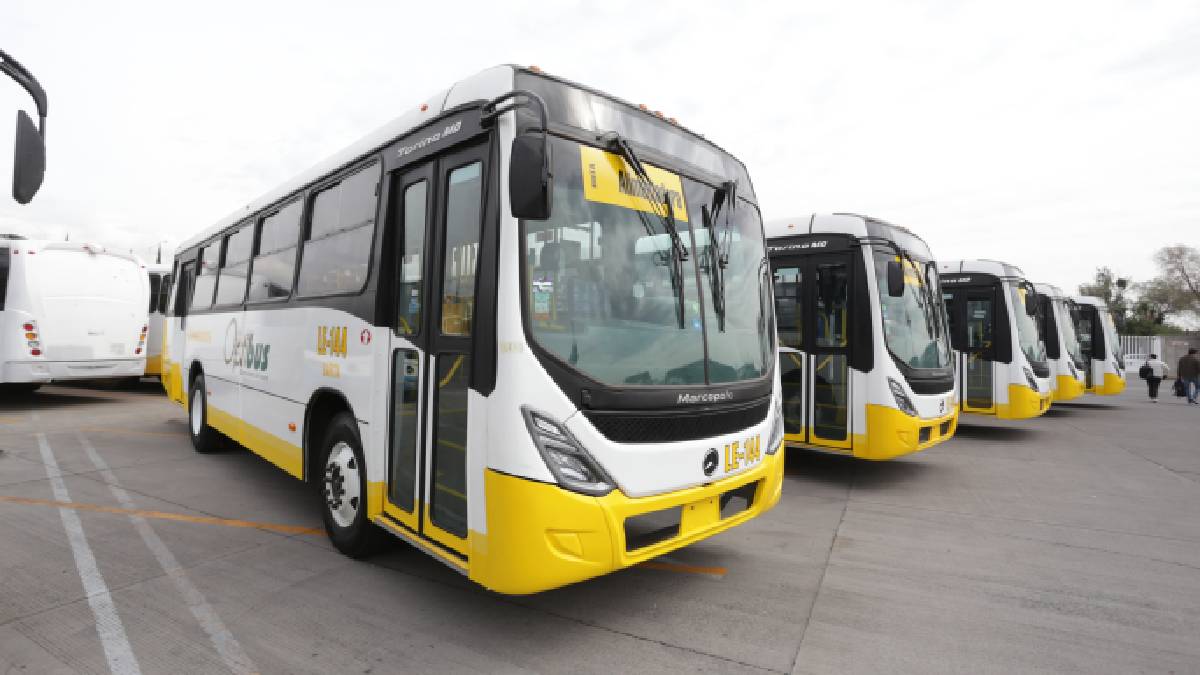 Nuevos autobuses en León