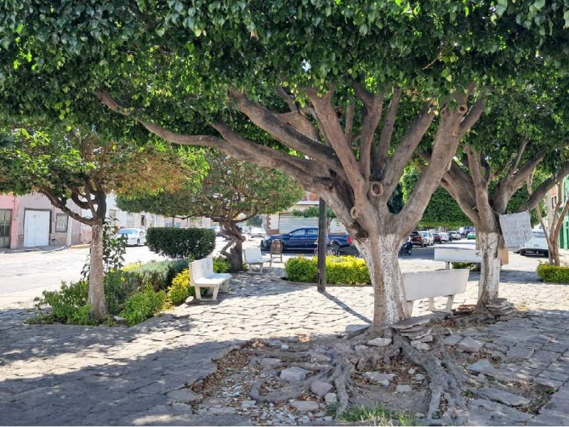 Rescate de áreas verdes frente a la placita de las Vigas, una apuesta para el Presupuesto Participativo de León