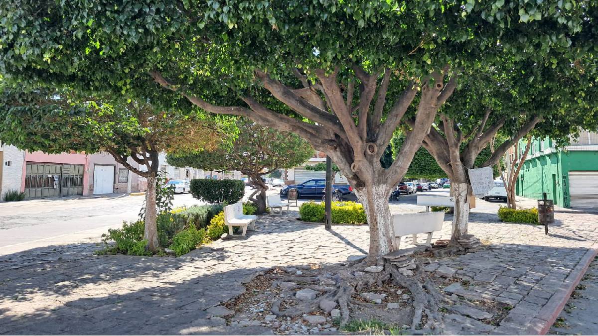 Rescate área verde 01