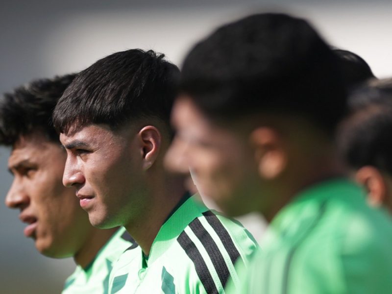 Canales para ver partido Selección Mexicana vs Panamá