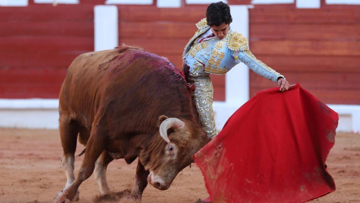 Serial Taurino León 2026