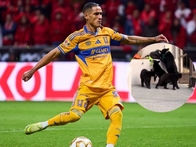 Osos ‘roban’ mochila de Uriel Antuna, futbolista de Tigres