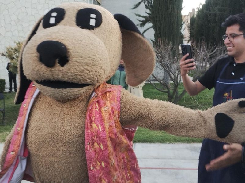 Habrá función gratuita de lucha libre por Día de Reyes en La Floresta de Tulancingo