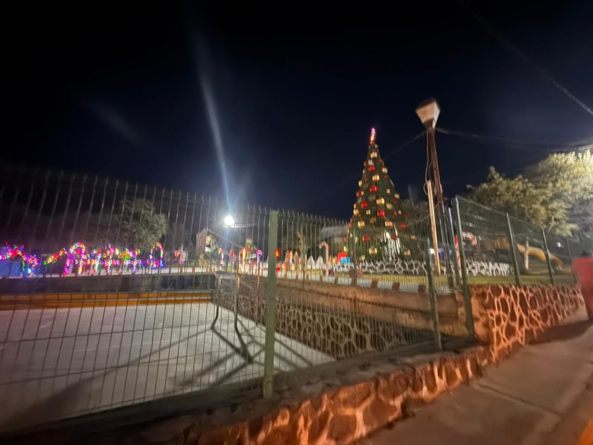 Roban iluminación navideña en parque de Habitacional del Bosque, en Santiago Tulantepec