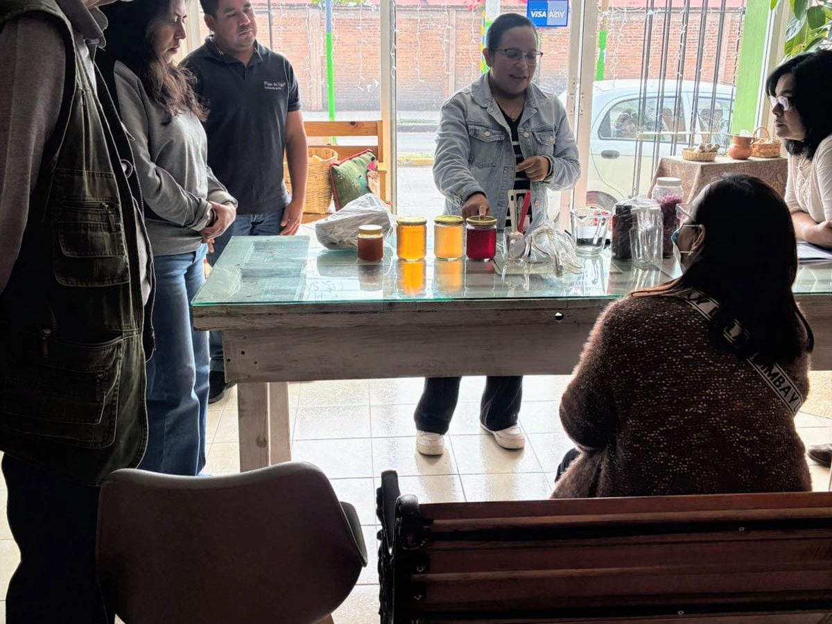 Miel y propóleo, aliados naturales contra enfermedades respiratorias