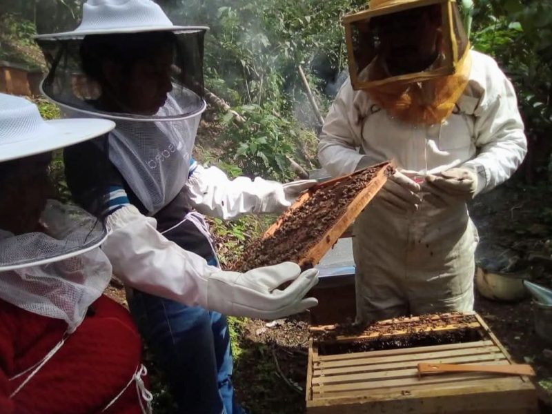 Charla sobre miel y propóleo llega al Café del Foro en Tulancingo