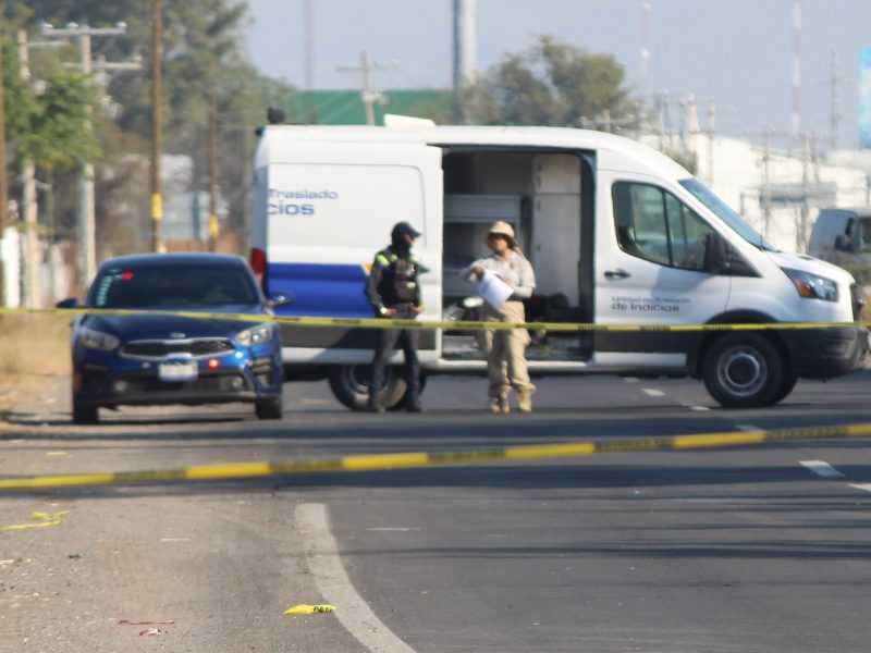 atropellado León Cuerámaro 02