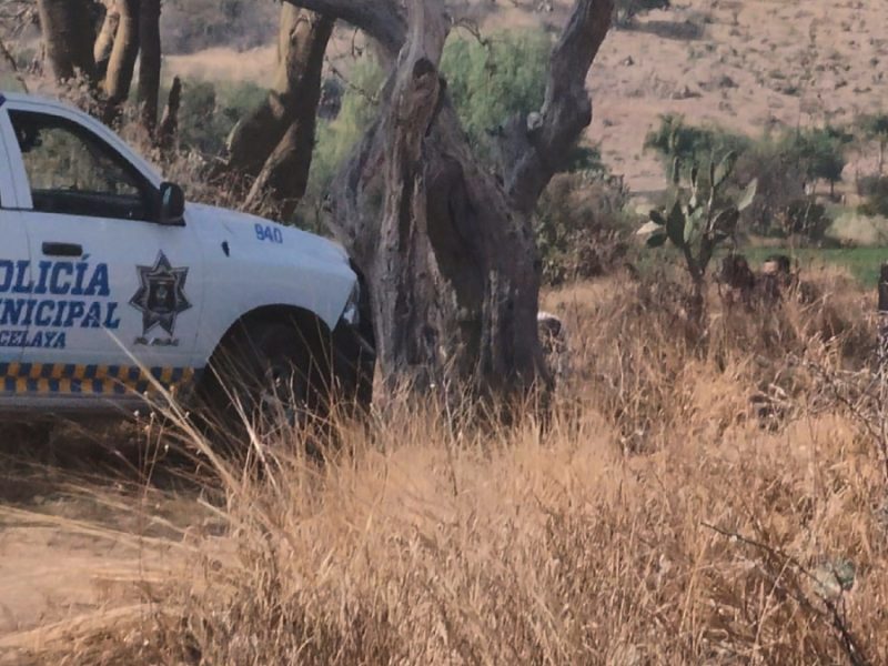 Bulto extraño en Celaya: Hallan cuerpo semienterrado en sembradíos de Rincón de Tamayo